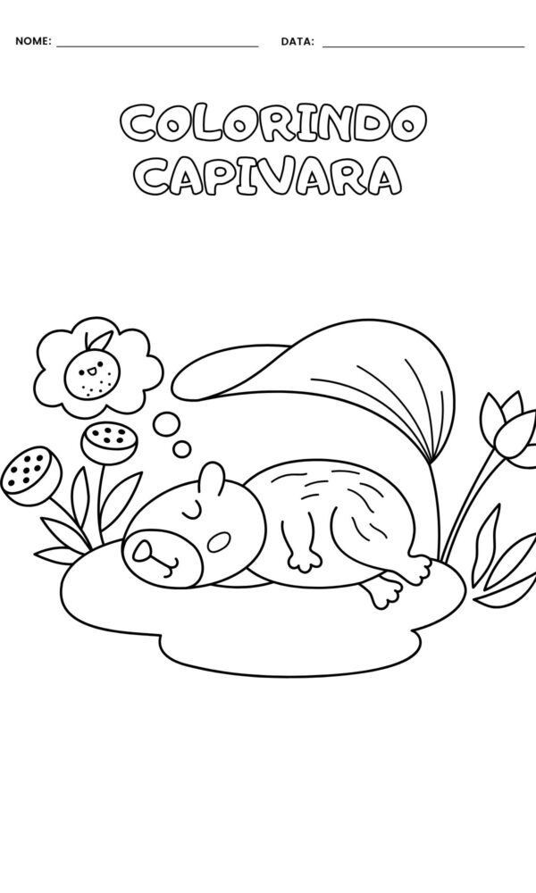 Desenho para colorir capivara 8 600x1000