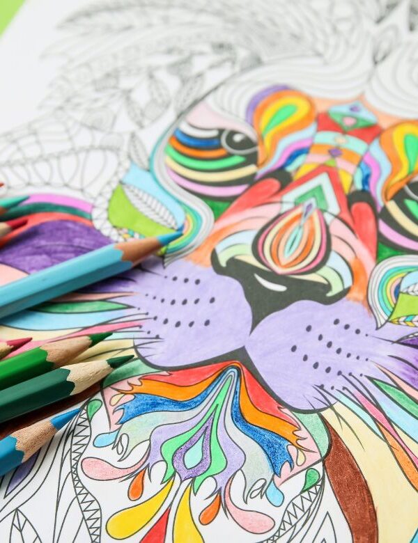 Livro para colorir 600x780